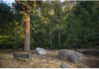 Sequoias Campground & Lodges: A Complete Guide to Nature Stays and Riverside Comfort