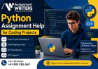 Python Assignment Help for Coding Projects