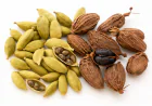 Healthpally FAQS About Cardamom Herb