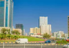 Feasibility Study Solutions for UAE Businesses Today