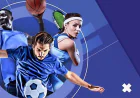 Tenexch Cricket Panel Navigation Guide for Easy Dashboard Use