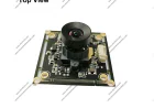 Face Recognition Camera Solutions for Smart Security and Bird Watching Applications