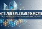How to Launch a White Label Real Estate Tokenization Platform: A Complete Guide