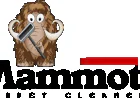 The Complete Guide to Carpet Sanitization Services: Benefits, Process, and Maintenance Tips