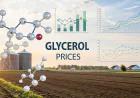 Glycerol Prices Index Analysis with Quarterly Trend and Forecast Prices Chart