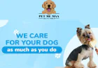 Dog Cafe Near Me: Why Pet Me Maa Is the Favorite Hangout for Dogs and Pet Parents in Noida