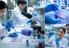 Detecting and Managing Unwanted Immune Responses to Therapeutics