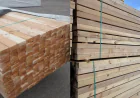 The Best Cedar Board Projects (And Why Quality Lumber Makes the Difference)