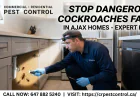 Stop Dangerous Cockroaches Fast in Ajax Homes - Expert Help