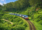 Top Ooty Package from Delhi for Couples, Families & Honeymooners