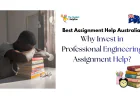 Why Invest in Professional Engineering Assignment Help?