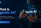 What Is Agentic AI? Why Businesses Are Choosing Agentic AI Development Companies in 2026
