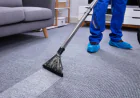 Carpet Cleaning Services in Charlotte, NC, Before Holidays: Refresh Floors for Events