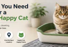 Catandmeow Litter Box Guide