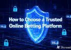 How to Choose a Trusted Online Betting Platform