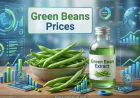 Green Beans Prices Index Analysis with Quarterly Trend and Forecast Prices Chart