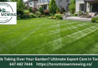 Weeds Taking Over Your Garden? Ultimate Expert Care in Toronto