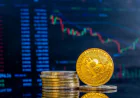 Why Businesses Are Choosing Stablecoins: A Practical Look at the Future of Payments
