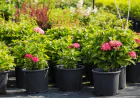 How Proper Garden Maintenance Saves Time and Reduces Landscaping Costs