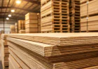 Why Certified Plywood Matters for Large Infrastructure Projects