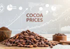 Cocoa Price Index Chart with Trend Insights and Quarterly Forecast Prices
