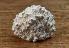 Cellulose Prices, Trend, and Demand Insights Q2 2026