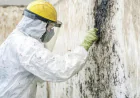 Fire Restoration Company Services in Georgia Helps Restoring Normalcy and Pursuing Insurance Claims