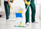 Modern Simplicity: Premium Condo Cleaning in Bedford
