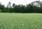 Upgrade Your Garden with Adelaide's Trusted Artificial Lawn Installers