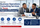 How Can Business Operations Consulting Services In Texas Improve Efficiency?