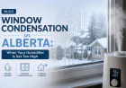 Window Condensation in Alberta: When Your Humidifier Is Set Too High