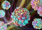 Vector Purification Market: Size, Trends, and Strategic Growth Analysis