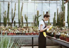 Greenhouse Cleaning Services in Virginia: Eco-Safe Homes Without the Toxic Trade-Off