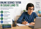 Why an Online Science Tutor in Sugar Land TX Can Help Students Succeed