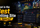 What is the best betting site for sports?