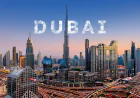 How to Identify the Best SEO Company in Dubai