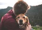 Busy Schedules Become Easier with Trusted Doggy Daycare Salem Oregon