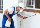 Why Is Fast Pest and Wasp Removal Essential for Keller Homeowners?