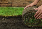 How Do Sod Installation Services Improve Lawn Health Long-Term?