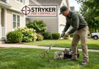 Pest Control Services in Columbus: Protecting Your Home and Business From Unwanted Pests