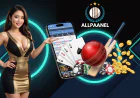 Maximizing Allpaanel Security: How to Protect Your ID from Account Takeovers