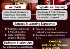 Best Online Violin Classes for Beginners & Advanced Students