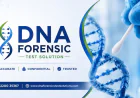 Smart Guide to DNA Test Accuracy and Reliability