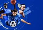 AllPanelexch App Access Guide for Mobile Sports and Live Casino Navigation