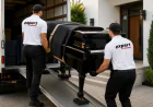 How Do I Book Professional Piano Movers in Adelaide?