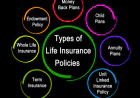 Navigating the Maze of Life Insurance Plans to Fit Your Goals