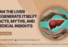 Can the Liver Regenerate Itself? Facts, Myths, and Medical Insights