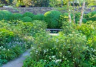 When Is the Best Time to Schedule Shrub Care Services?