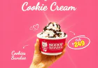 The Search for the Best Ice Cream in Gurgaon Is Over | Scoop Wonder Has Been the Answer All Along