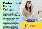 Why Professional Essay Writers Make All the Difference: A Closer Look at Writing Sharks